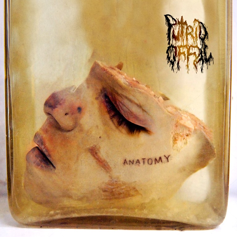 XKR003 PUTRID OFFAL Anatomy Artwork 1400x1400px