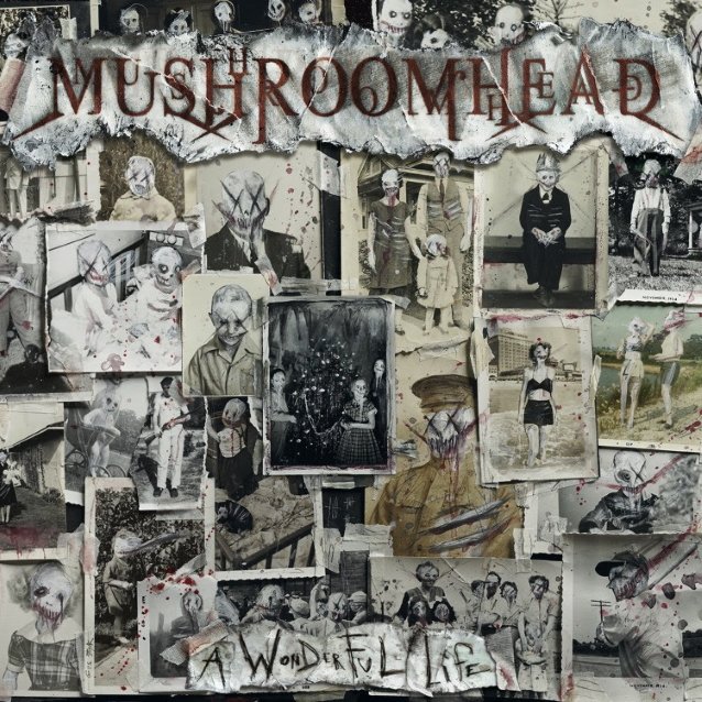 mushroomheadwonderfullife