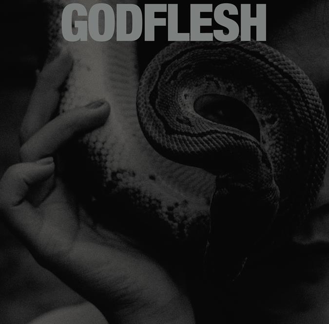 GODFLESH PURGE