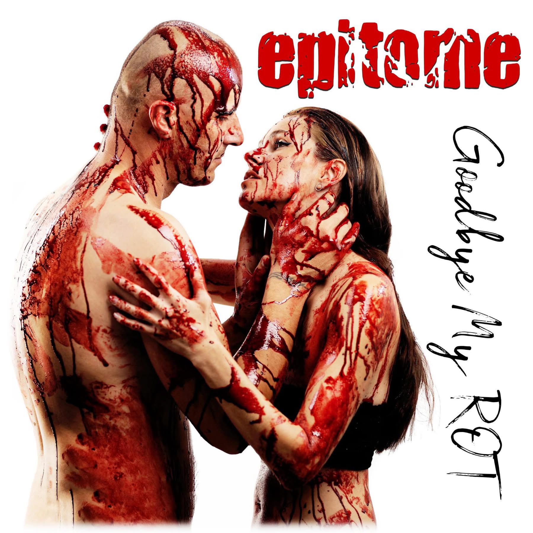 epitome goodbye my rot cd front cover