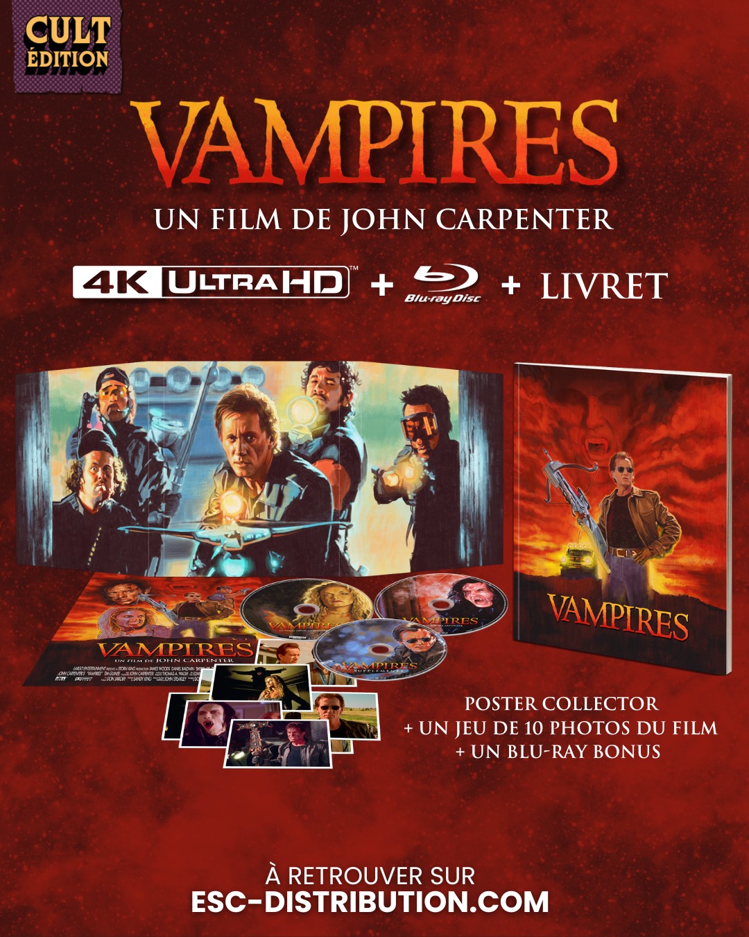 34d4804d 25c3 548b de20 fa6454744d83