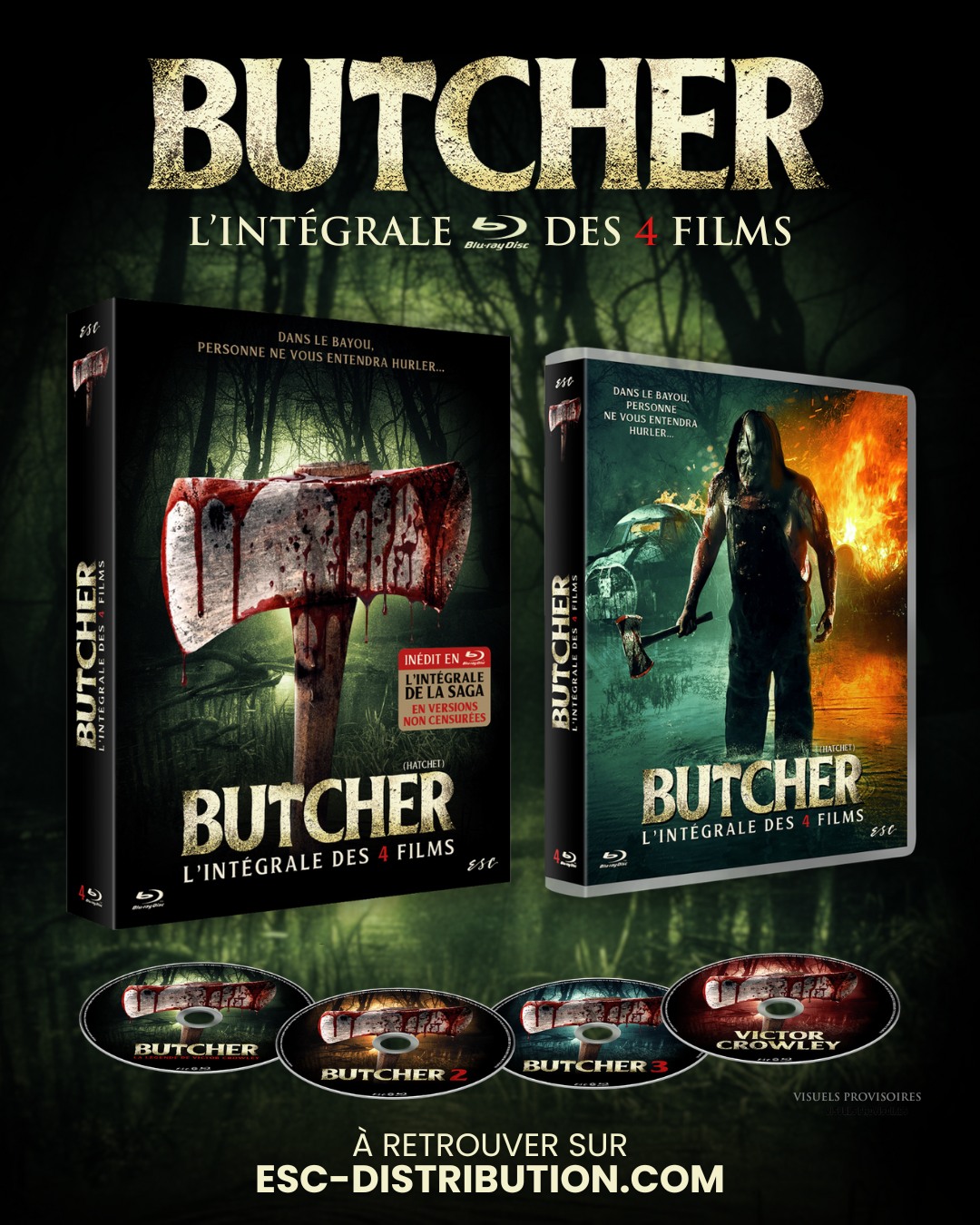 597932729 1237521108397959 5896239621481147192 n