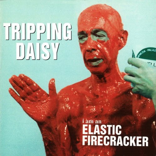 2563883-tripping-daisy-i-am-an-elastic-firecracker